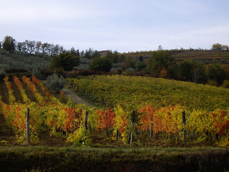chianti paysage01.jpg